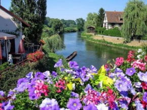 Le Cocon du bord de l'Ill